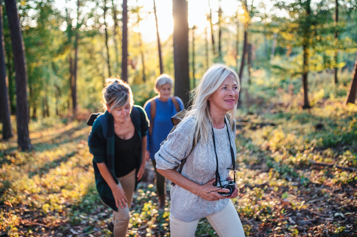 Group of Senior Women Walking in Forest in Daylight